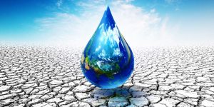 Protect Every Drop: The Importance of Water Conservation